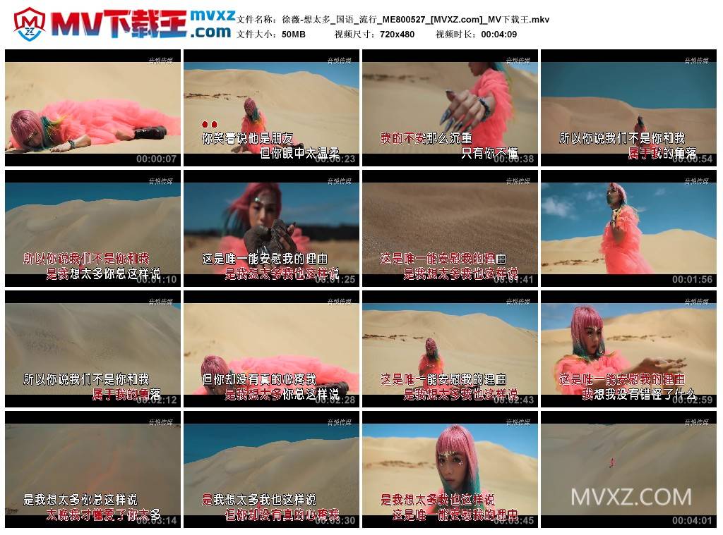 徐薇-想太多_国语_流行_ME800527